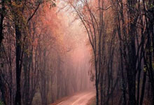 开云体育:火箭中流砥柱!申京晒赛场照:我们温暖了寒冷的空气.