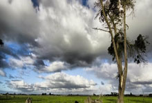 开云体育：[图]英超-萨拉赫双响 利物浦3-2客胜南安普敦8分领跑.