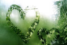 开云体育：里贝里：年我已做到极致，梅西和C罗一直很尊重我.