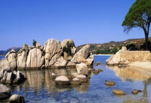 新华全媒+丨北京推行“体育八条” 打造“能出汗的体育课”.